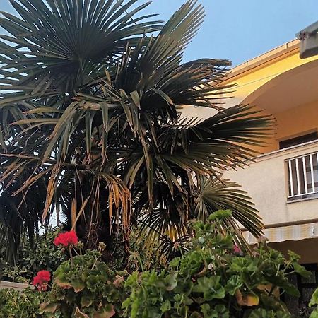 Studio Apartman Casper Zadar Exteriör bild
