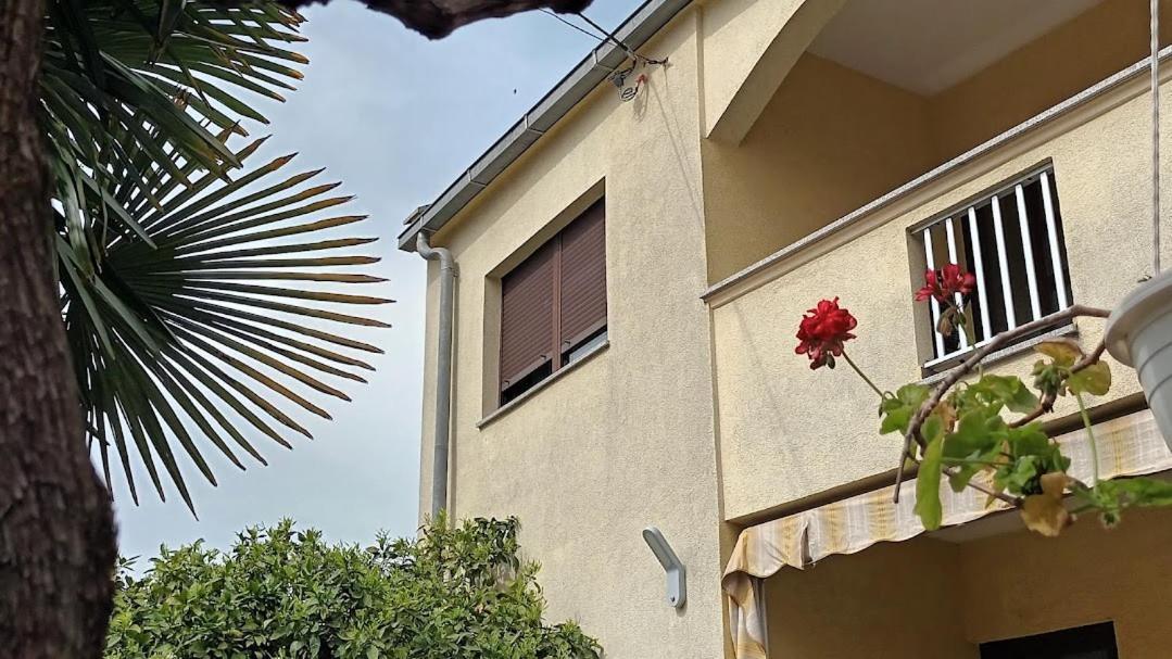 Studio Apartman Casper Zadar Exteriör bild